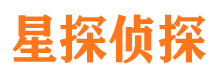 新野侦探